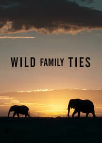 Wild Family Ties thumbnail