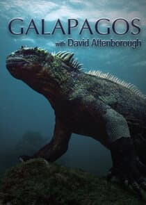 Galapagos with David Attenborough thumbnail