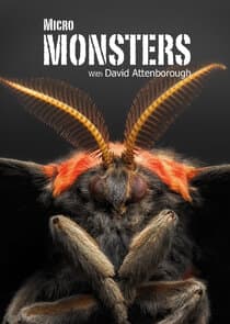 Micro Monsters with David Attenborough thumbnail