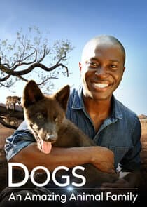 Dogs: An Amazing Animal Family thumbnail