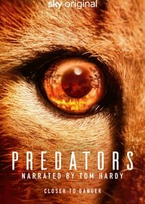 Predators thumbnail