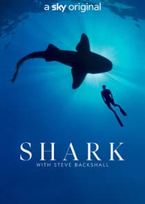 Shark with Steve Backshall thumbnail