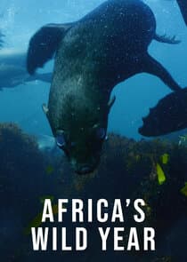 Africa's Wild Year thumbnail