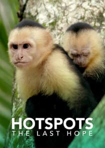 Hotspots: The Last Hope thumbnail