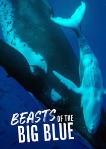 Beasts of the Big Blue thumbnail