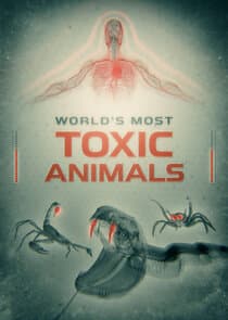 World's Most Toxic Animals thumbnail