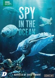 Spy in the Ocean thumbnail