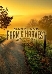 Maryland Farm & Harvest thumbnail