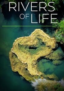 Rivers of Life thumbnail
