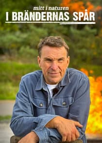 I brändernas spår thumbnail