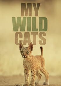 My Wild Cats thumbnail