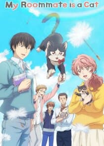 Doukyonin wa Hiza, Tokidoki, Atama no Ue. thumbnail