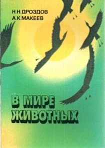 В мире животных thumbnail