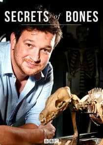 Secrets of Bones thumbnail