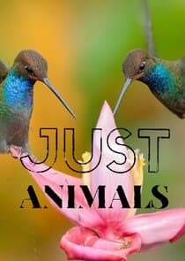 Just Animals thumbnail