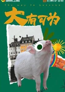 The Way to Success thumbnail