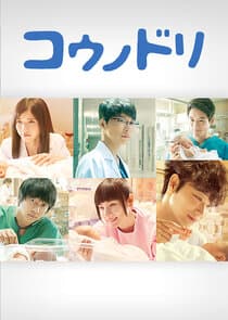 Dr. Storks thumbnail