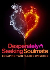 Desperately Seeking Soulmate: Escaping Twin Flames Universe thumbnail