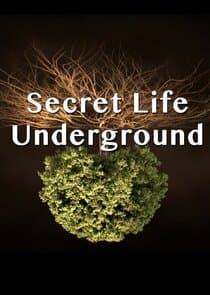 Secret Life Underground thumbnail