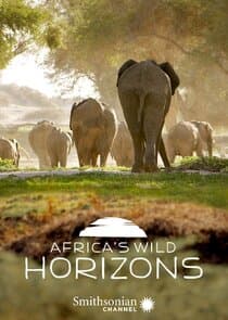 Africa's Wild Horizons thumbnail