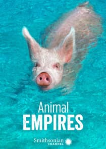 Animal Empires thumbnail
