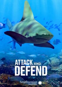 Attack and Defend thumbnail