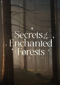 Secrets of the Enchanted Forests thumbnail
