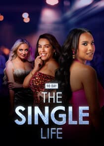 90 Day: The Single Life thumbnail