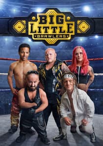 Big Little Brawlers thumbnail