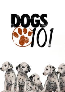 Dogs 101 thumbnail