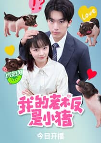 My Piggy Boss thumbnail