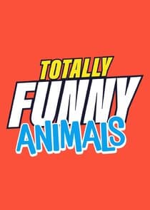 Totally Funny Animals thumbnail
