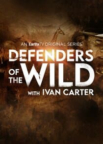 Defenders of the Wild thumbnail