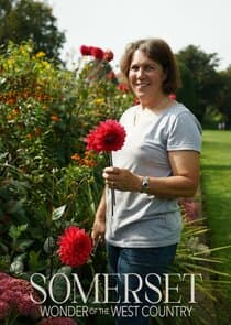 Somerset: Wonder of the West Country thumbnail
