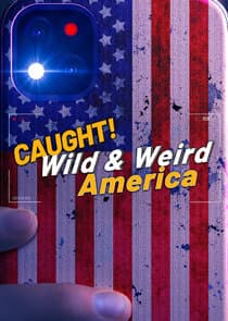 Wild & Weird America thumbnail