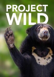 Project Wild thumbnail