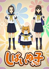 Shiba Inuko-san thumbnail