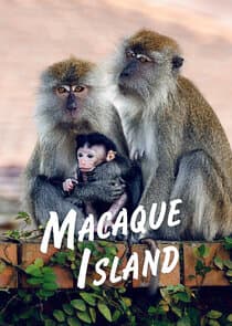 Macaque Island thumbnail