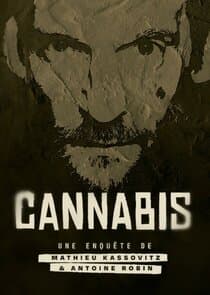 Cannabis : la série documentaire thumbnail