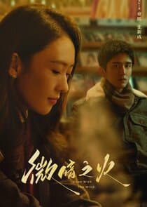 Tender Light thumbnail