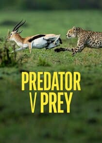 Predator vs Prey thumbnail