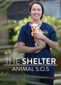 The Shelter: Animal SOS thumbnail