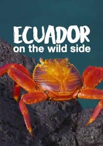 Ecuador: On the Wild Side thumbnail
