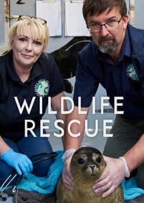 Wildlife Rescue thumbnail