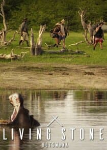 Living Stone thumbnail