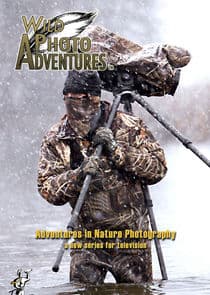Wild Photo Adventures thumbnail