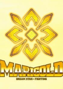Dream Star Fighting MARIGOLD thumbnail