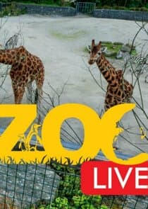 Zoo Live thumbnail