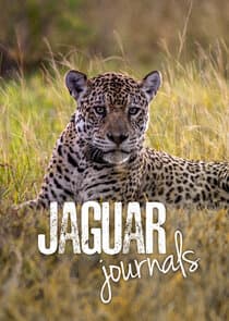 Jaguar Journals thumbnail
