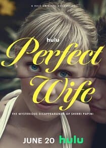 Perfect Wife: The Mysterious Disappearance of Sherri Papini thumbnail
